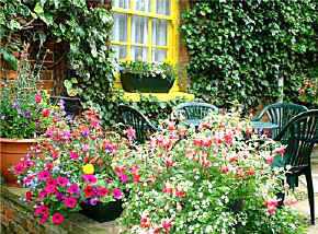 The courtyard has green metal tables and green chairs and has a variety of very cheerful potted tubs of brightly coloured summer flowers.